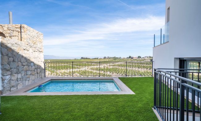 detached - New Build - Algorfa - Algorfa