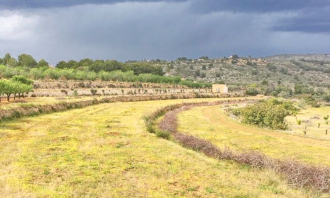 Land - Venta - Benissa - MT-34983