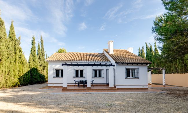 Villas - Nueva construcción  - Fuente Alamo - Fuente Alamo