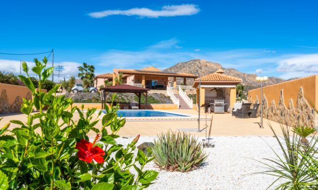 Villas - Revente - Albatera - Albatera