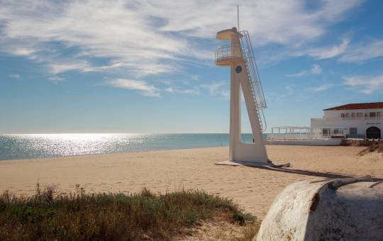 La Marina d'Elx a beloved destination